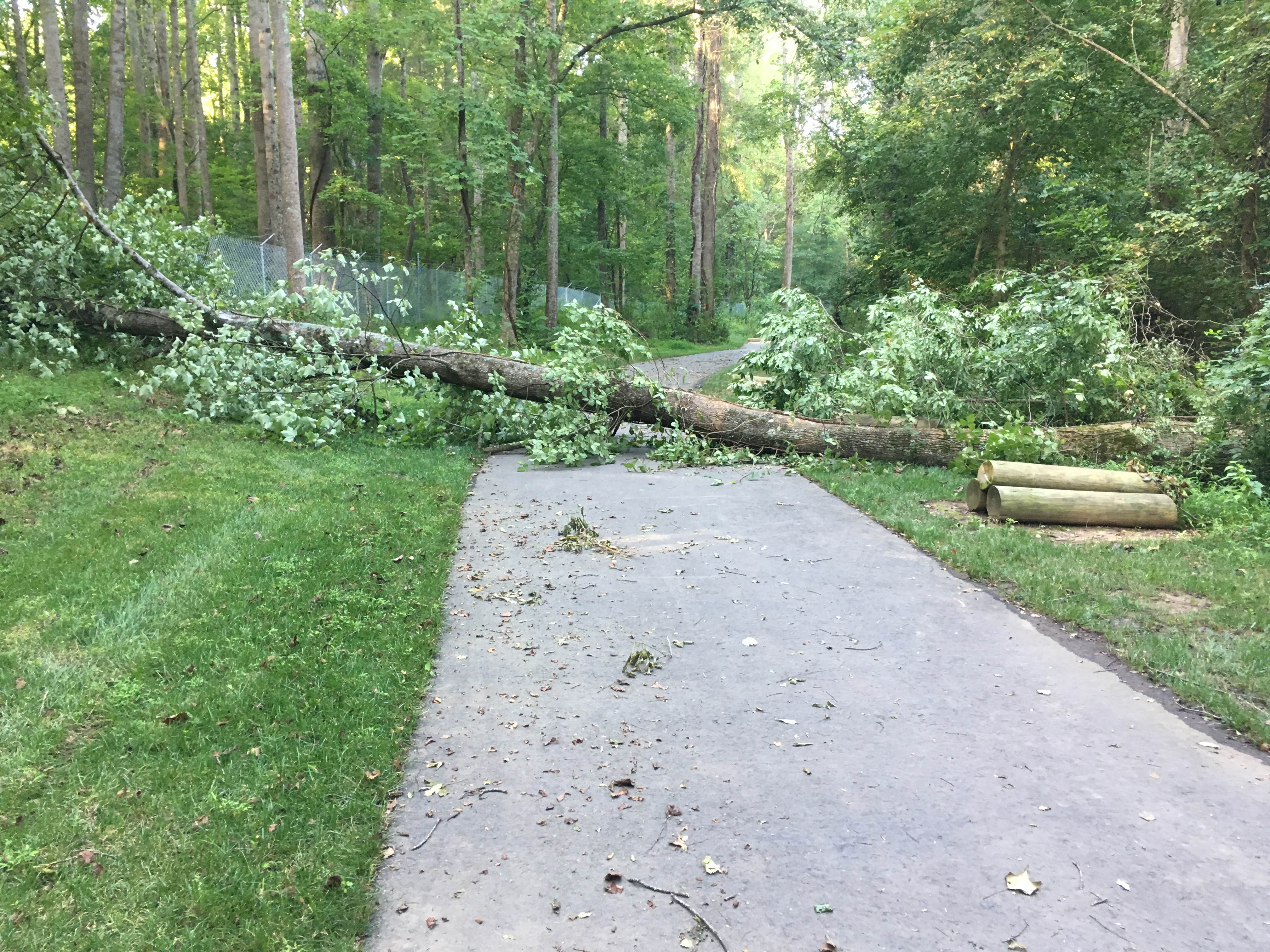 Cleared Tree Path Block Clearing the Path – Running On Faith